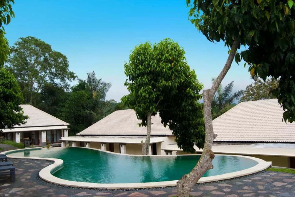 Superior Double or Twin Room 5