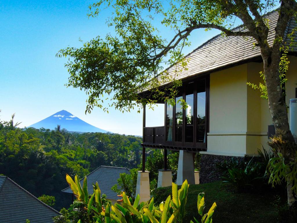 Superior Double or Twin Room 1