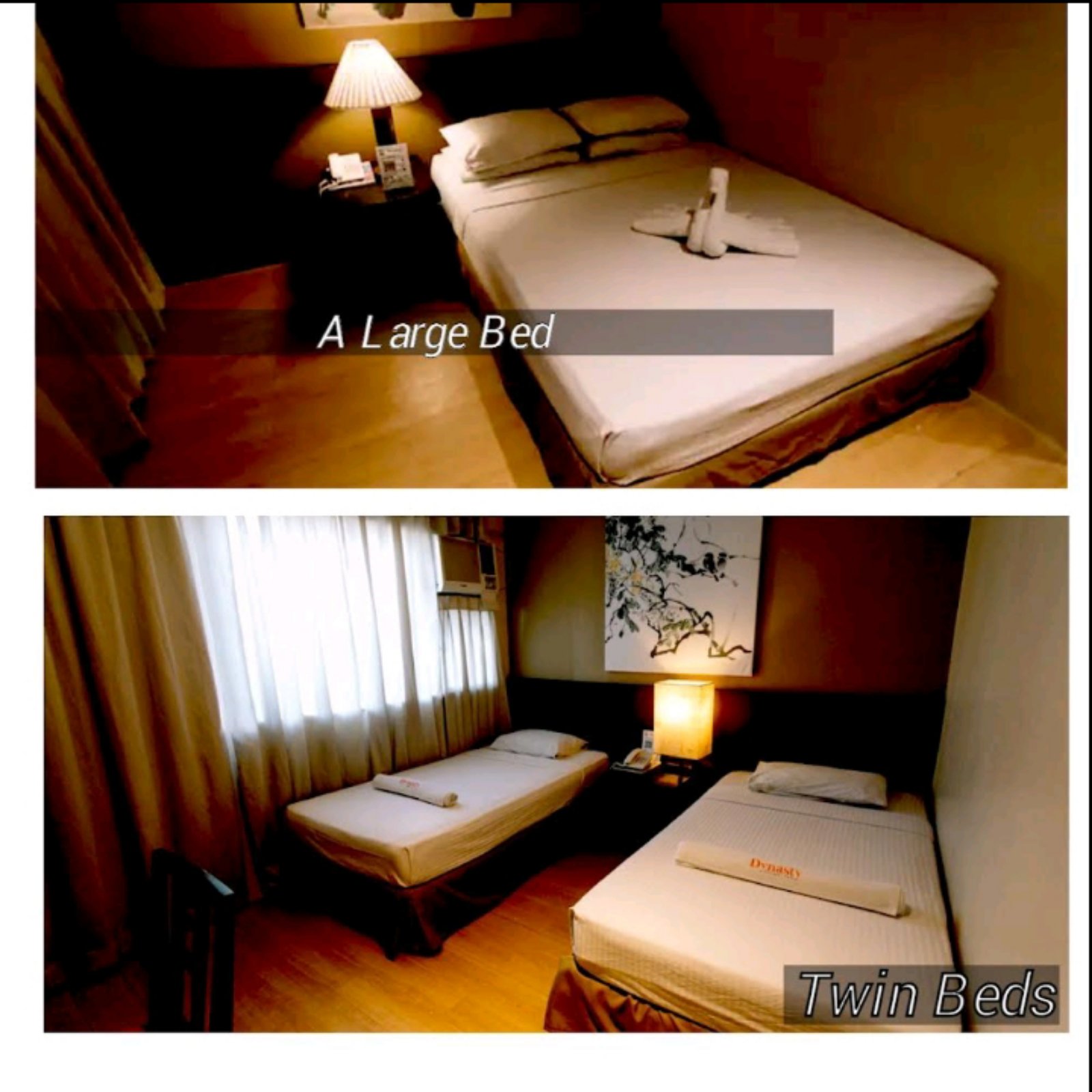 Dynasty Tourist Inn 3