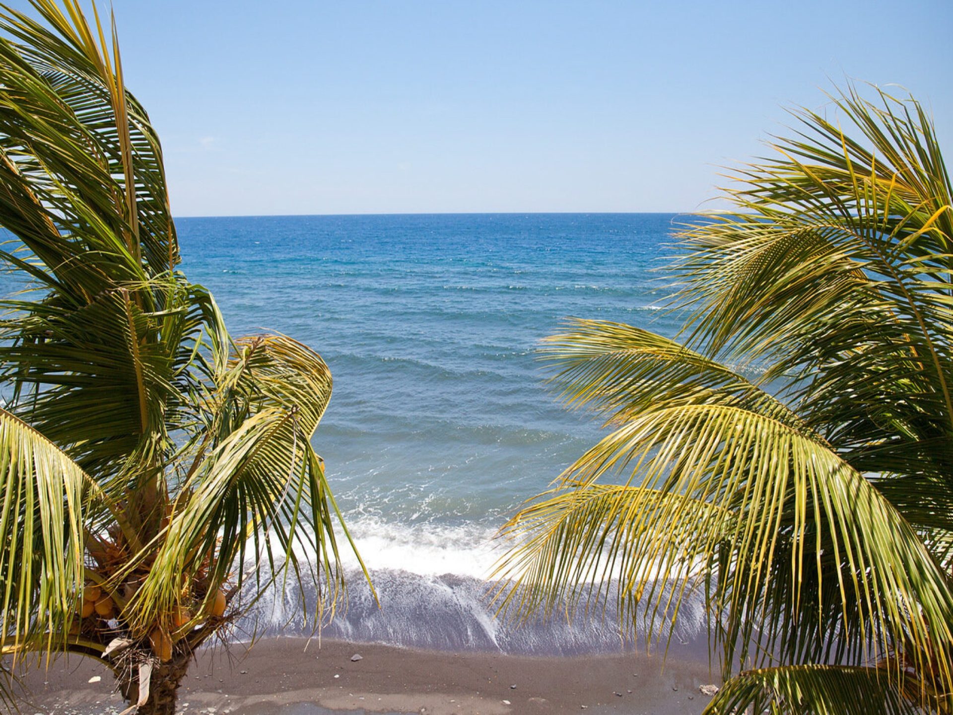 Bondalem Beach Club 40