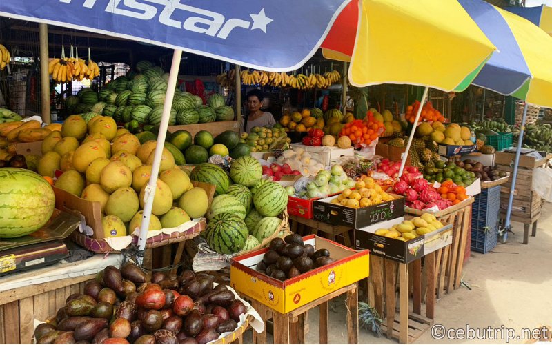 A Local Market Challenge During Your Cebu Transit! Can You Really Experience the Flavors of the Philippines?