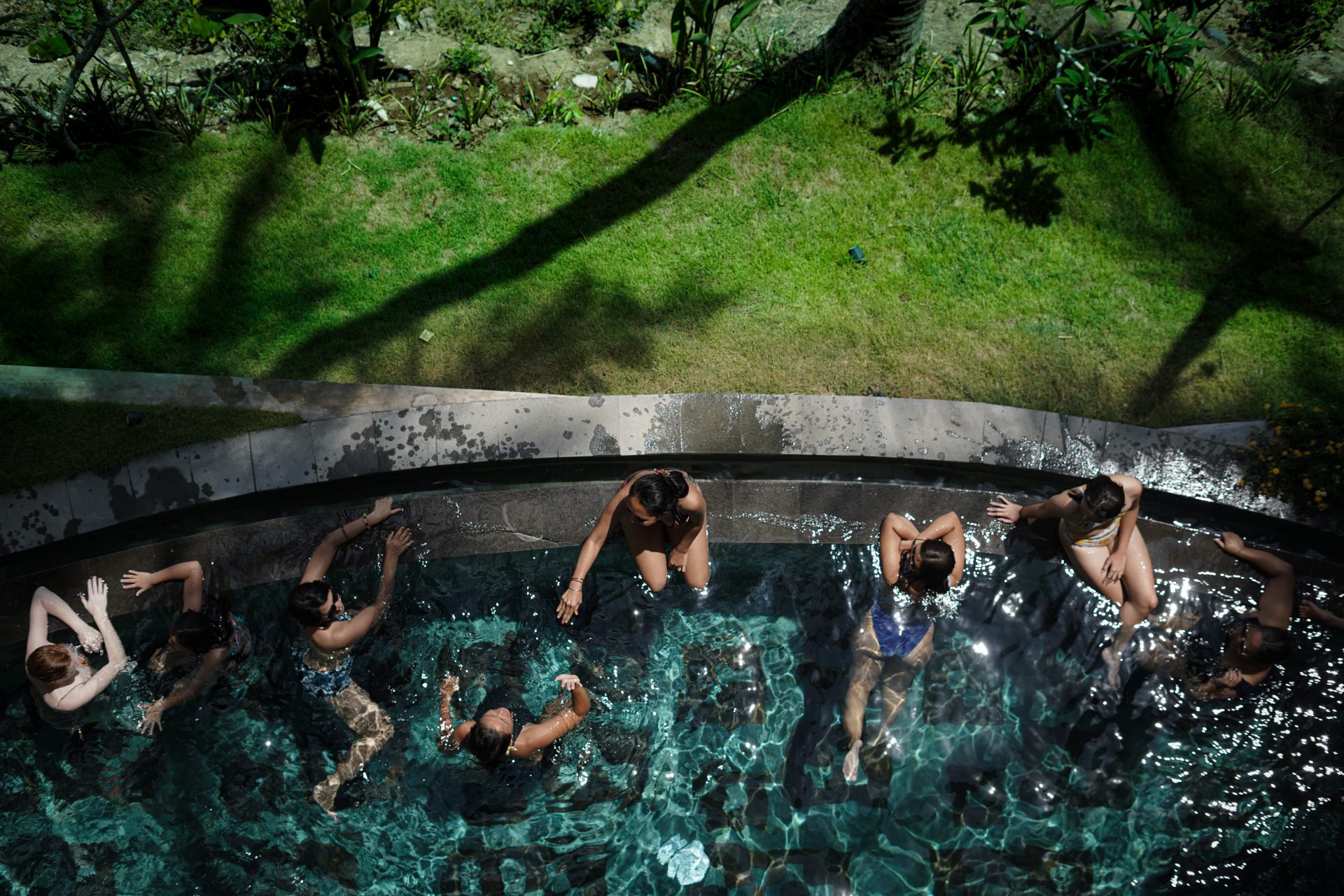 The Bodhi Leaf Wellness 12