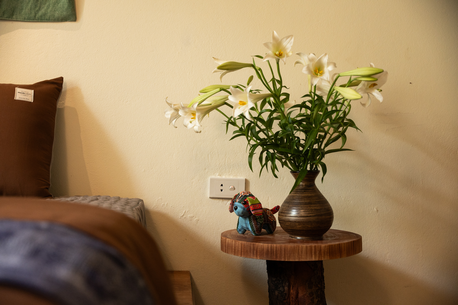 NYNA House-Traditional Studio-Near Walking Streetarden in City-Balcony-Egg Coffee Class 5
