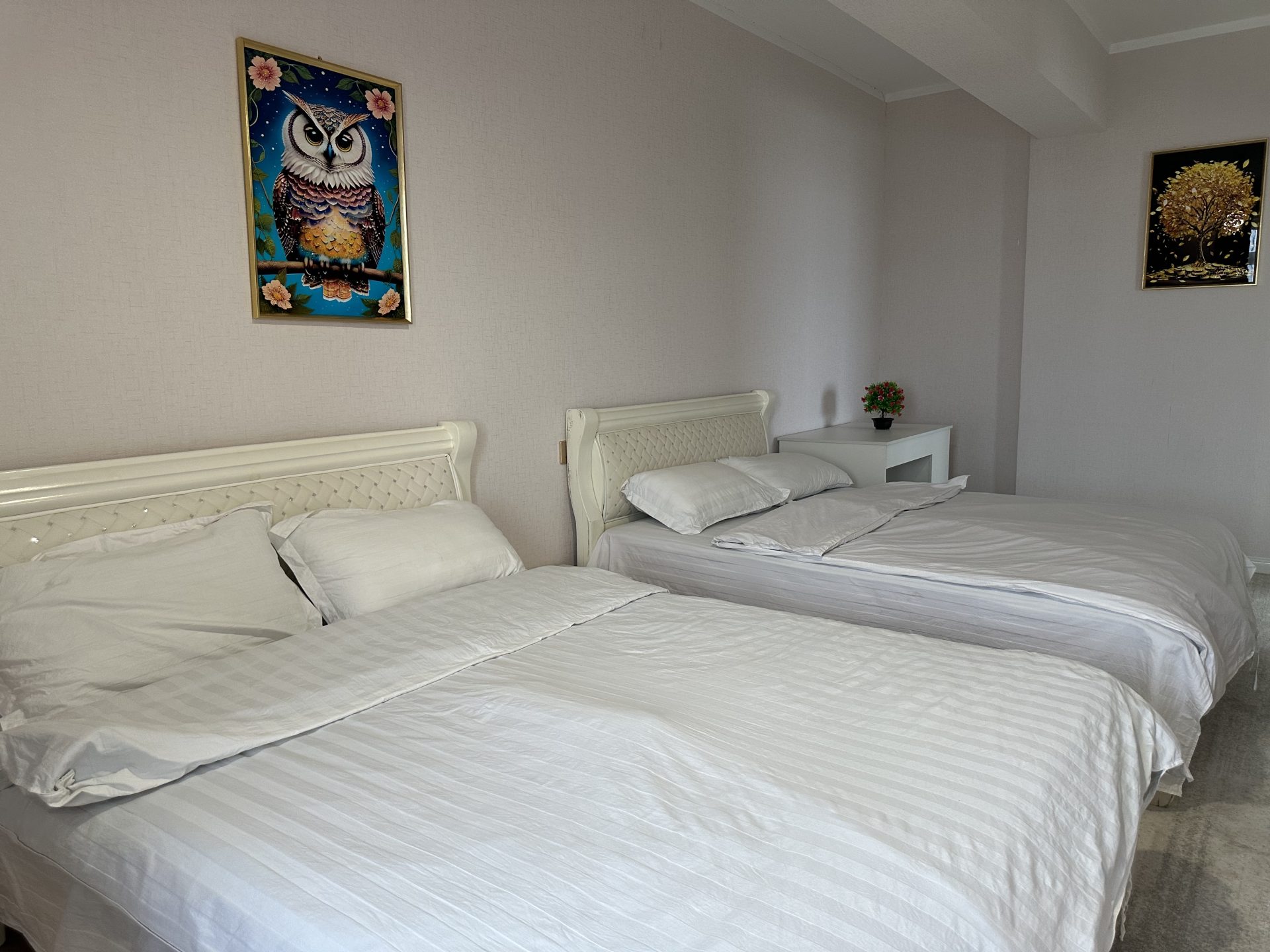 Eagle Town Standard Apartment 10