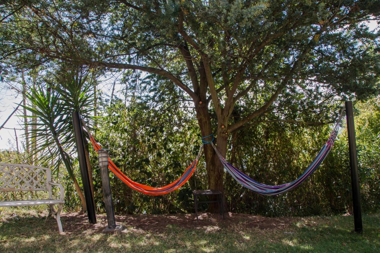 Ilatoa Lodge 33