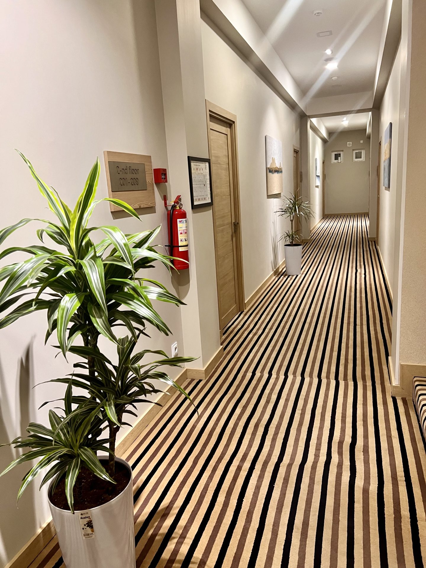 Bristol Hotel Tashkent 10