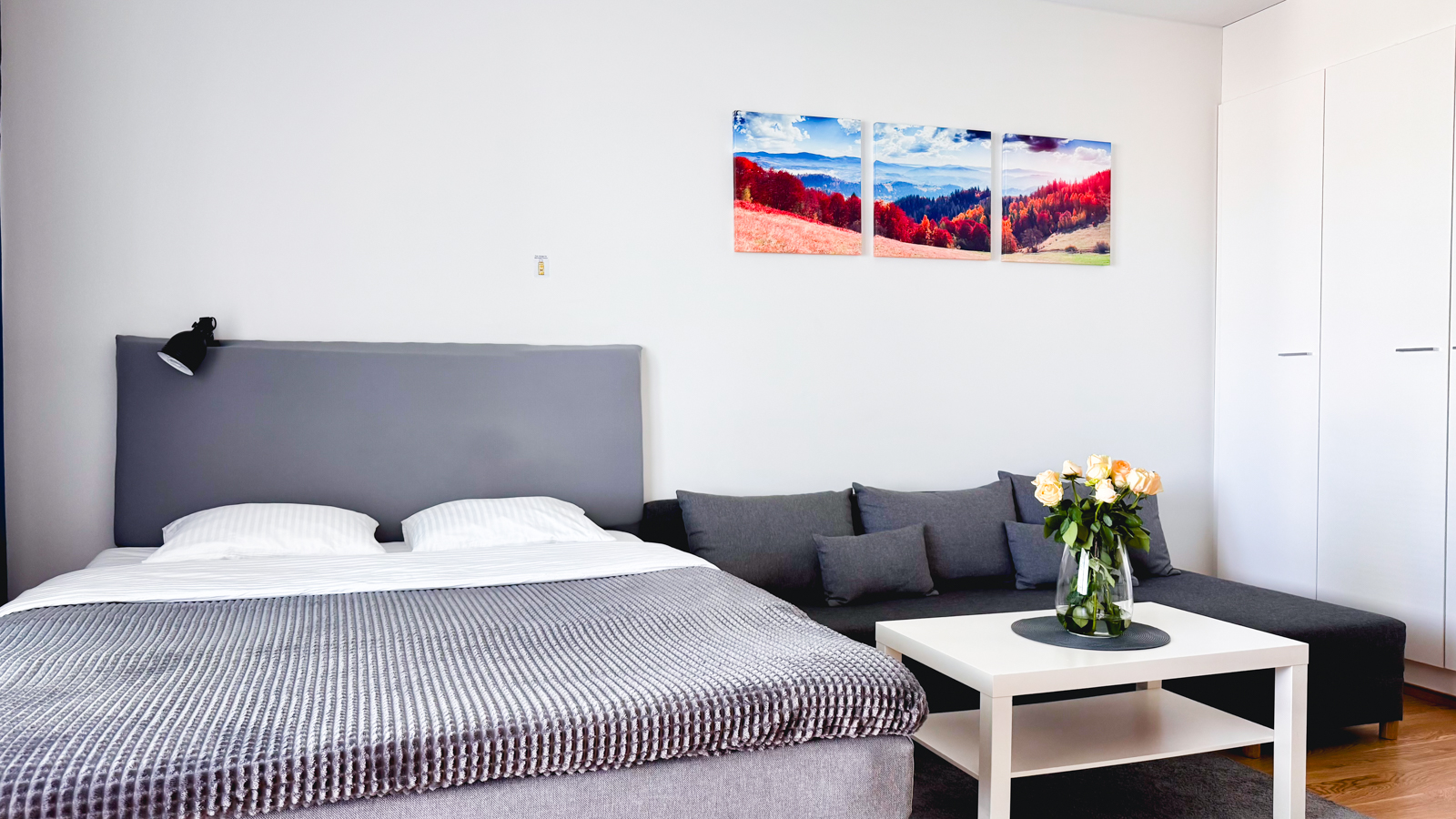 City center brand new studio, parking 4