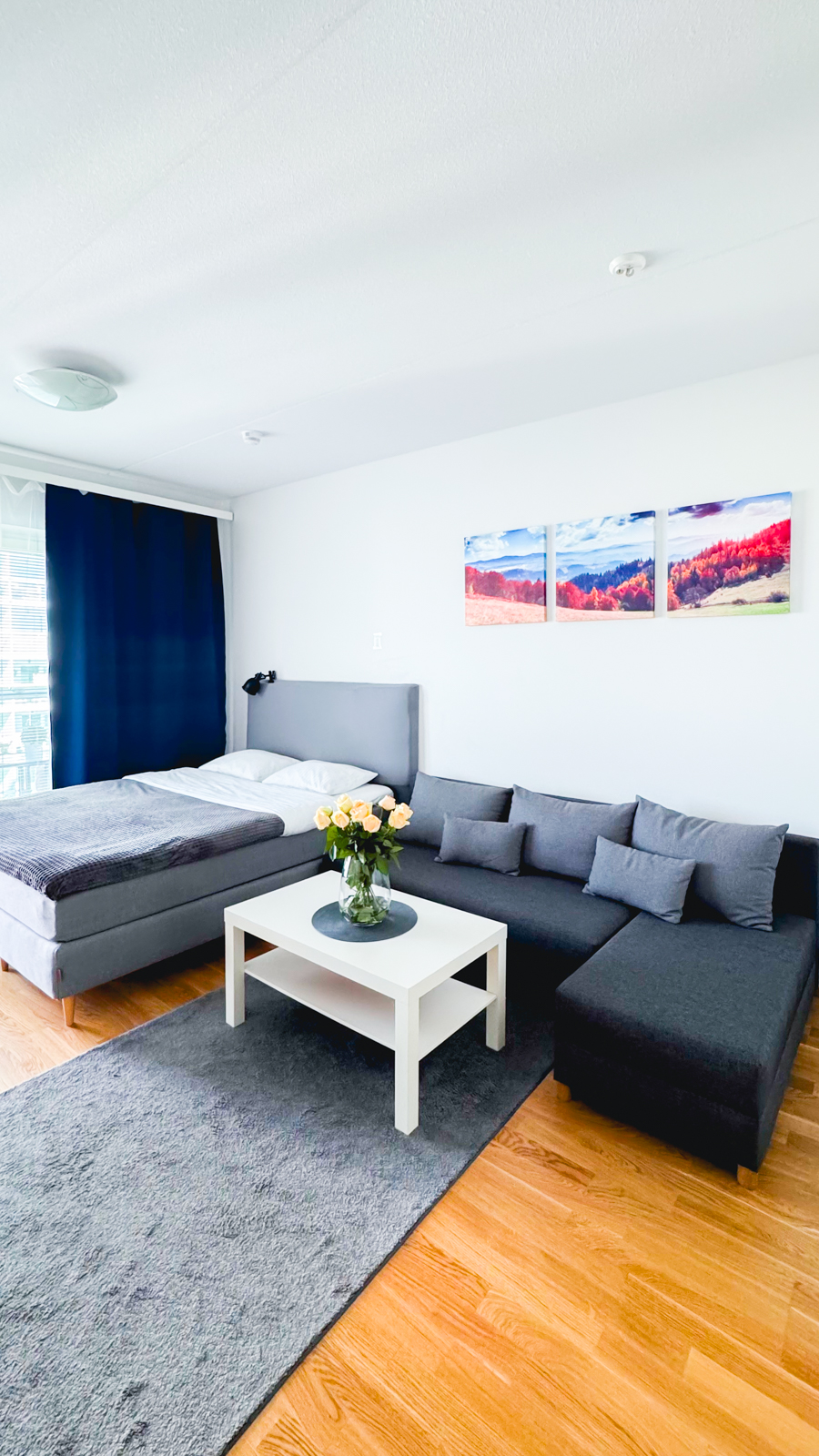 City center brand new studio, parking 3