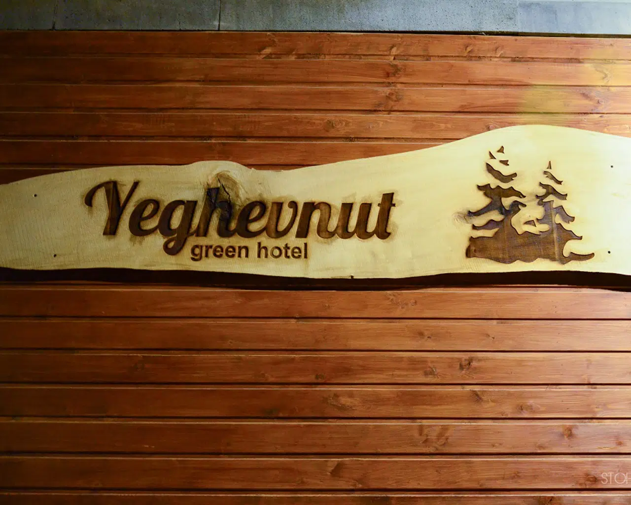 Yeghevnut hotel 7