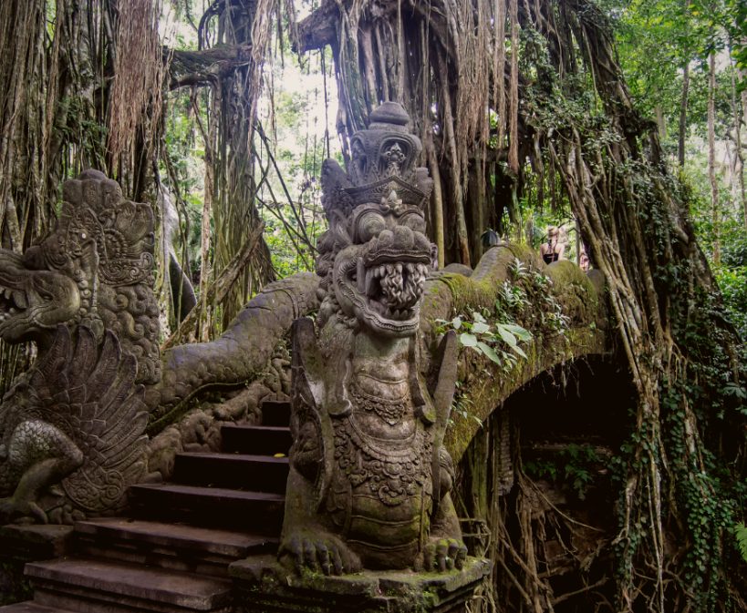 Bali Ubud Tour 2