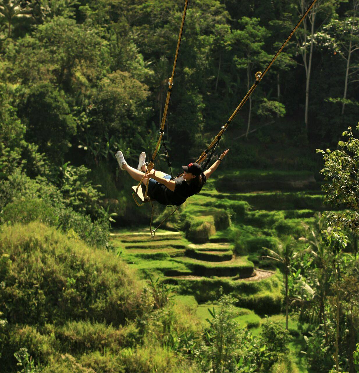 Bali Lovina Tours 2