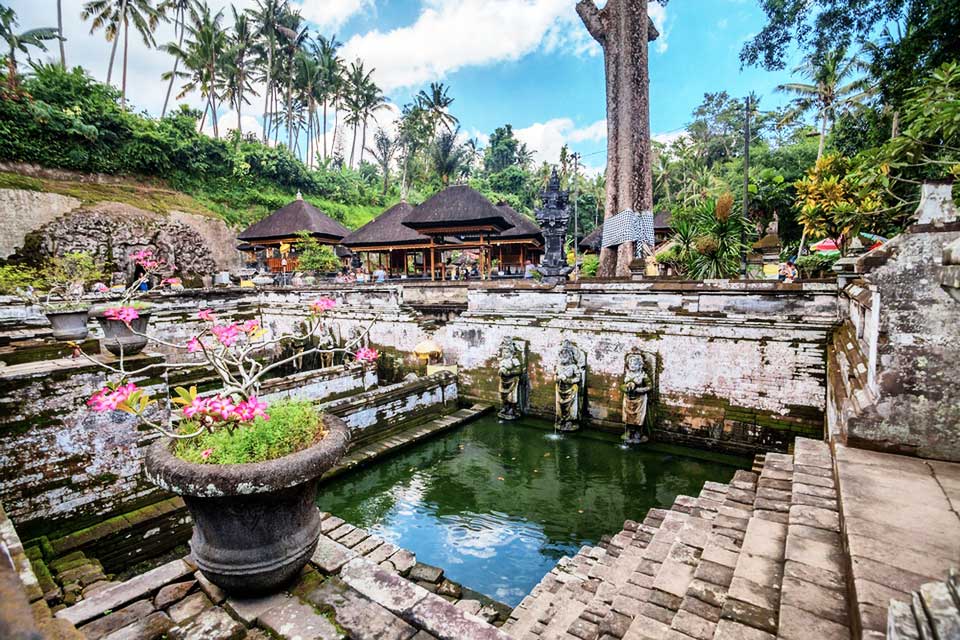 Bali Lovina Tours 7