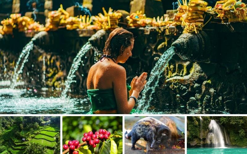 Bali Ubud Tour 3